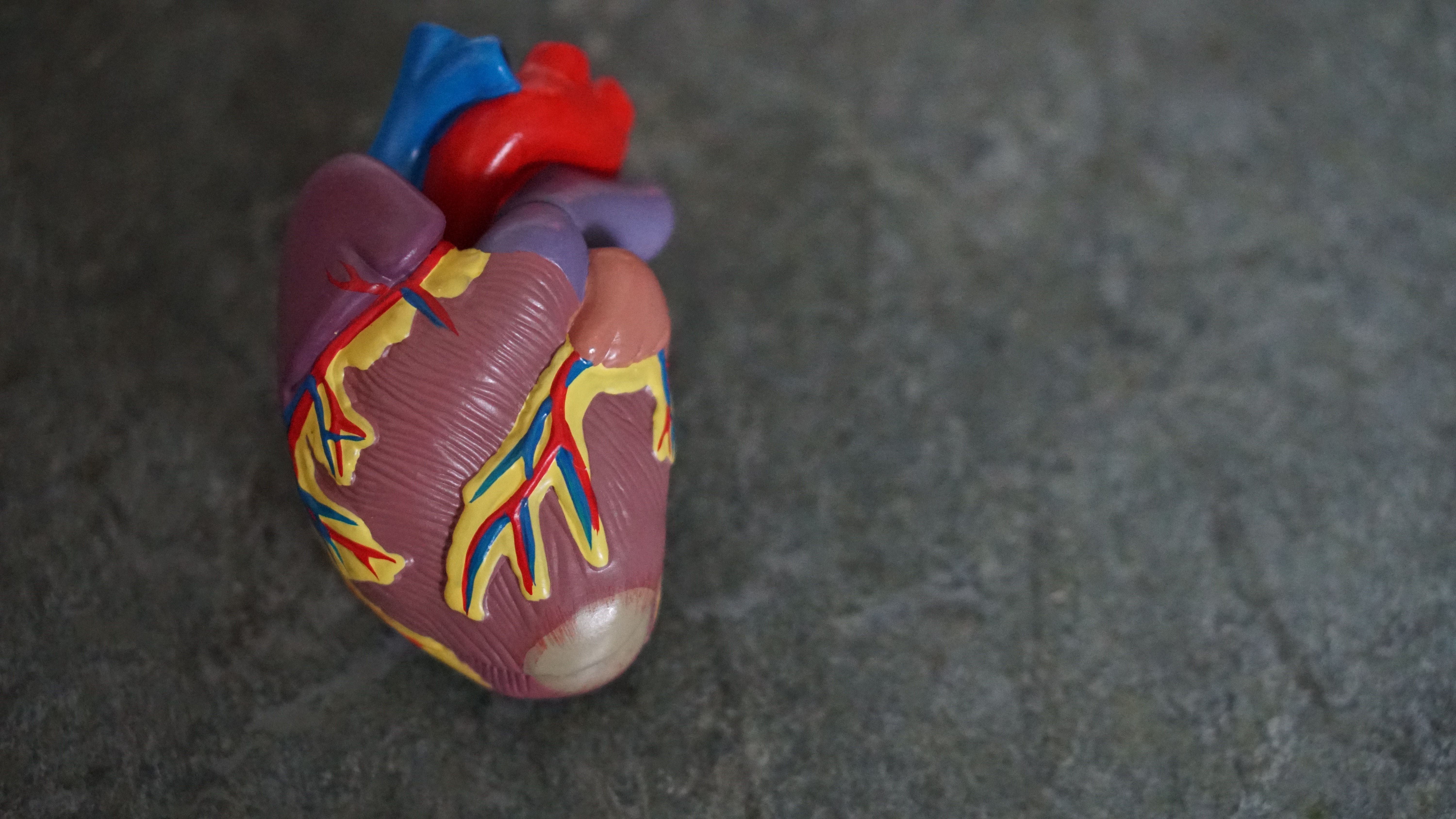Understanding medicine: why you should become a cardiologist